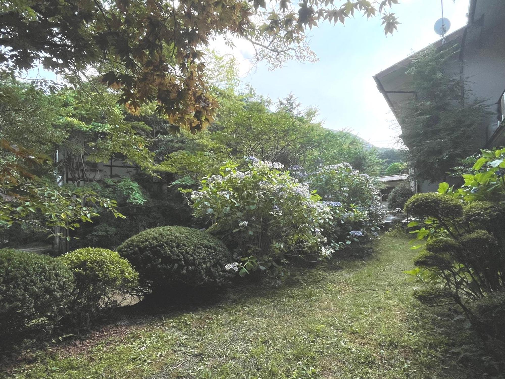 Ryokan Mitake 3*